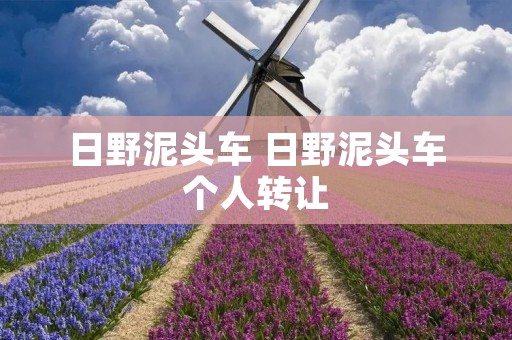 日野泥头车 日野泥头车个人转让