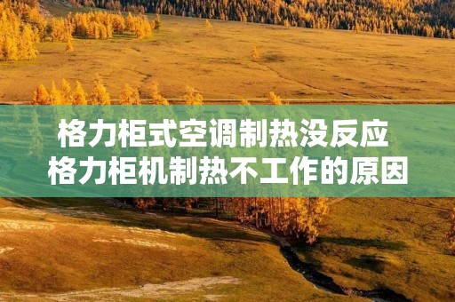 格力柜式空调制热没反应 格力柜机制热不工作的原因是什么