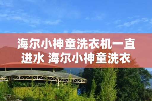 海尔小神童洗衣机一直进水 海尔小神童洗衣机一直进水不停不洗涤