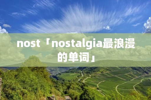 nost「nostalgia最浪漫的单词」