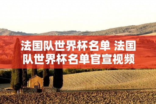 法国队世界杯名单 法国队世界杯名单官宣视频