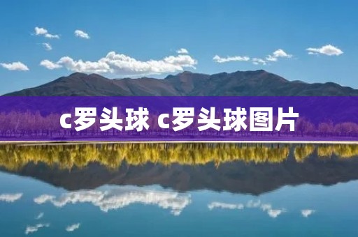 c罗头球 c罗头球图片