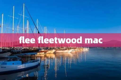 flee fleetwood mac