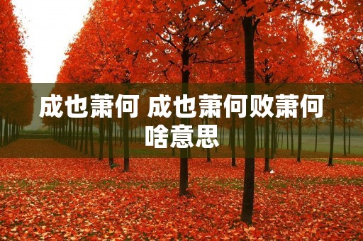 成也萧何 成也萧何败萧何啥意思