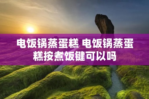 电饭锅蒸蛋糕 电饭锅蒸蛋糕按煮饭键可以吗