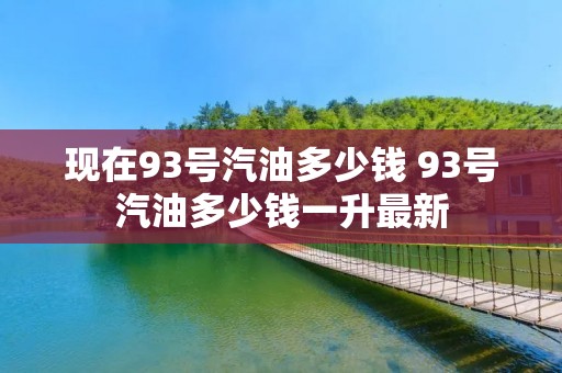 现在93号汽油多少钱 93号汽油多少钱一升最新