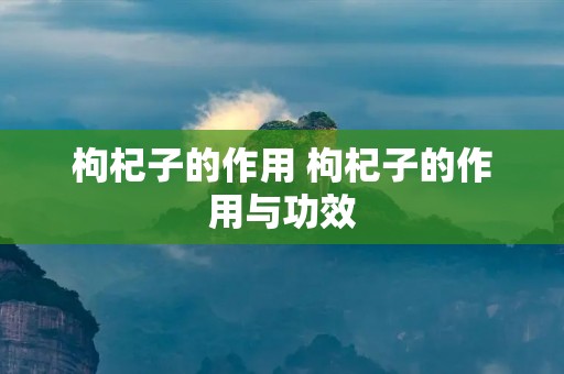 枸杞子的作用 枸杞子的作用与功效