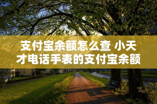 支付宝余额怎么查 小天才**手表的支付宝余额怎么查