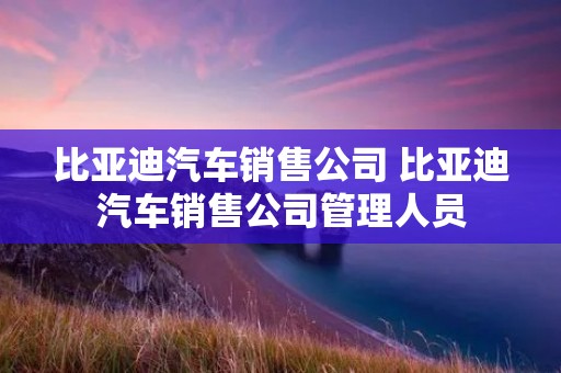 比亚迪汽车销售公司 比亚迪汽车销售公司管理人员