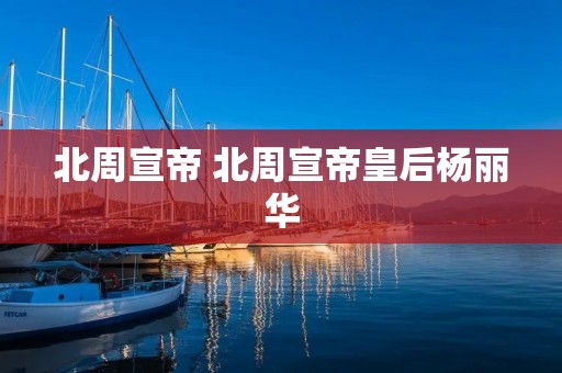 北周宣帝 北周宣帝皇后杨丽华