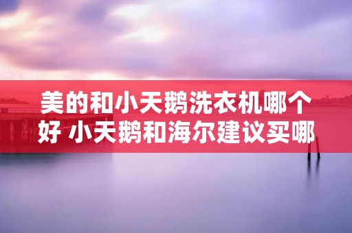 美的和小天鹅洗衣机哪个好 小天鹅和海尔建议买哪个