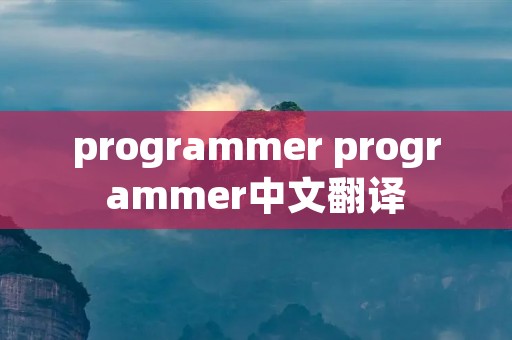 programmer programmer中文翻译