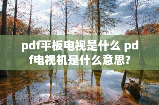 pdf平板电视是什么 pdf电视机是什么意思? pdf平板电视是什么 pdf电视机是什么意思?
