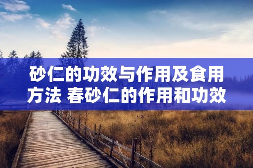 砂仁的功效与作用及食用方法 春砂仁的作用和功效