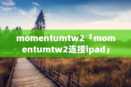 momentumtw2「momentumtw2连接ipad」