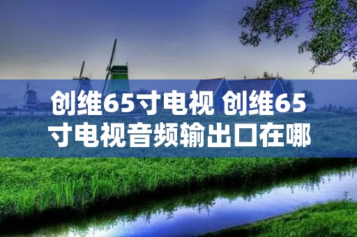 创维65寸电视 创维65寸电视音频输出口在哪 创维65寸电视 创维65寸电视音频输出口在哪