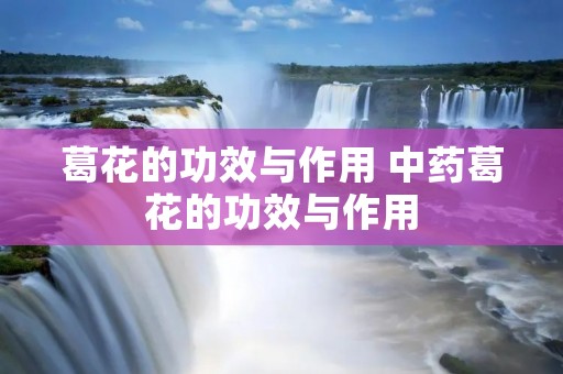 葛花的功效与作用 中药葛花的功效与作用