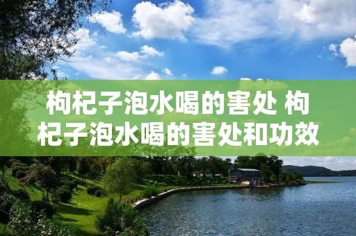枸杞子泡水喝的害处 枸杞子泡水喝的害处和功效 枸杞子泡水喝的害处 枸杞子泡水喝的害处和功效