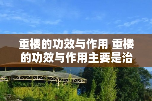 重楼的功效与作用 重楼的功效与作用主要是治什么病 重楼的功效与作用 重楼的功效与作用主要是治什么病