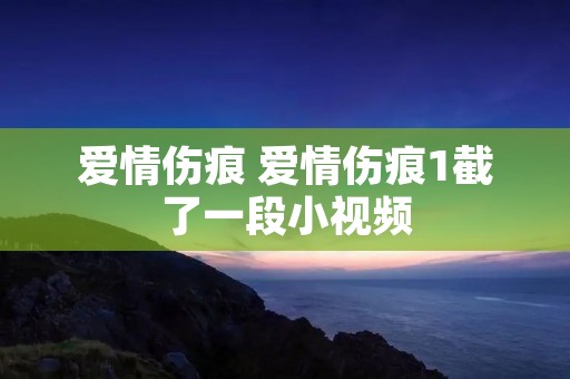 爱情伤痕 爱情伤痕1截了一段小视频