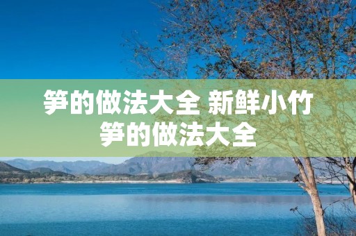 笋的做法大全 新鲜小竹笋的做法大全