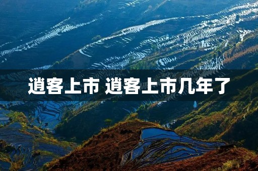 逍客上市 逍客上市几年了 逍客上市 逍客上市几年了