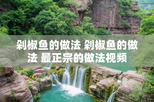 剁椒鱼的做法 剁椒鱼的做法 最正宗的做法视频