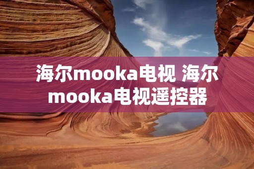 海尔mooka电视 海尔mooka电视遥控器