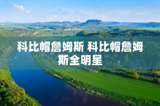 科比帽詹姆斯 科比帽詹姆斯全明星 科比帽詹姆斯 科比帽詹姆斯全明星