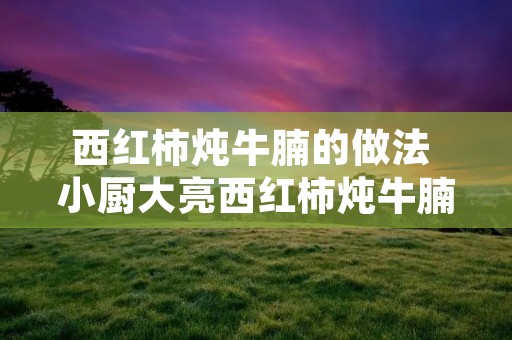 西红柿炖牛腩的做法 小厨大亮西红柿炖牛腩的做法 西红柿炖牛腩的做法 小厨大亮西红柿炖牛腩的做法