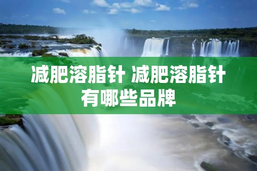 减肥溶脂针 减肥溶脂针有哪些品牌