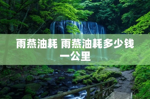 雨燕油耗 雨燕油耗多少钱一公里 雨燕油耗 雨燕油耗多少钱一公里