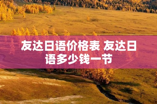 友达日语价格表 友达日语多少钱一节