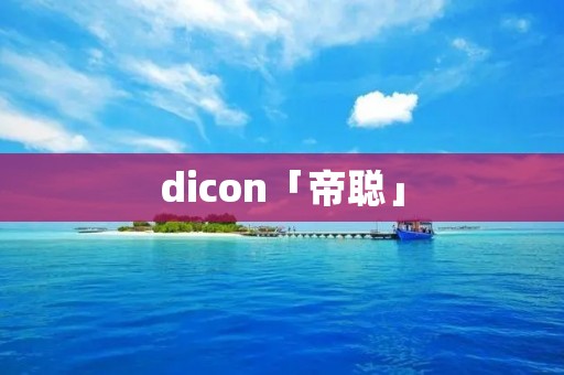 dicon「帝聪」 dicon「帝聪」
