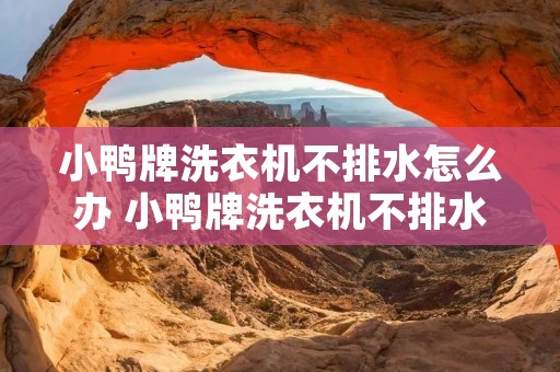小鸭牌洗衣机不排水怎么办 小鸭牌洗衣机不排水怎么办