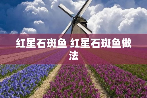 红星石斑鱼 红星石斑鱼做法 红星石斑鱼 红星石斑鱼做法
