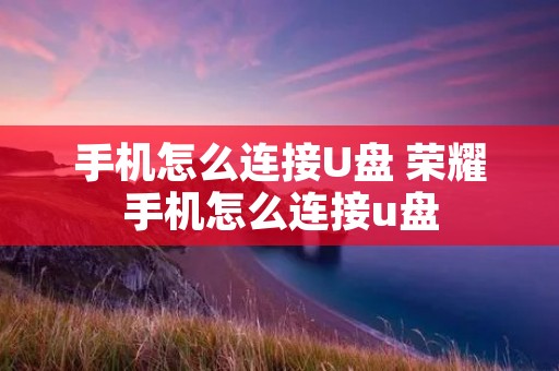 手机怎么连接U盘 荣耀手机怎么连接u盘