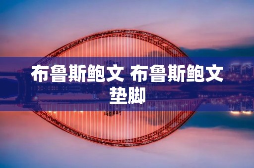 布鲁斯鲍文 布鲁斯鲍文垫脚
