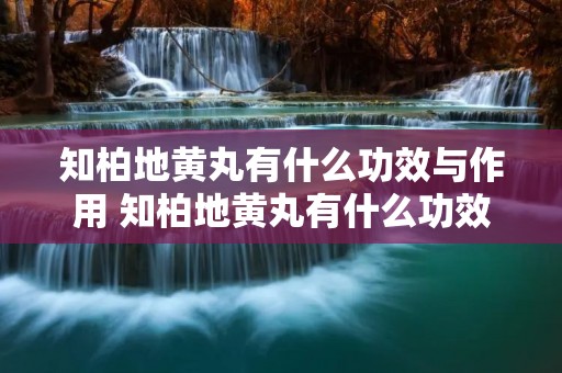 知柏地黄丸有什么功效与作用 知柏地黄丸有什么功效与作用杞菊地黄丸