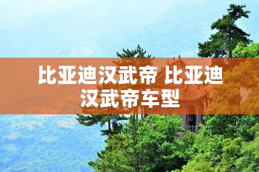 比亚迪汉武帝 比亚迪汉武帝车型