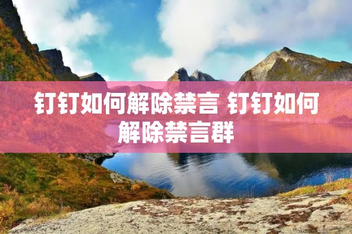 钉钉如何解除禁言 钉钉如何解除禁言群