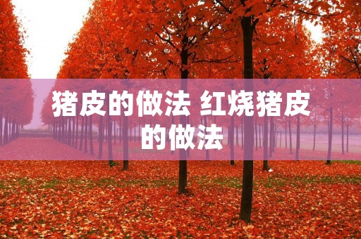 猪皮的做法 红烧猪皮的做法