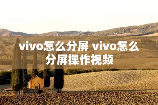 vivo怎么分屏 vivo怎么分屏操作视频