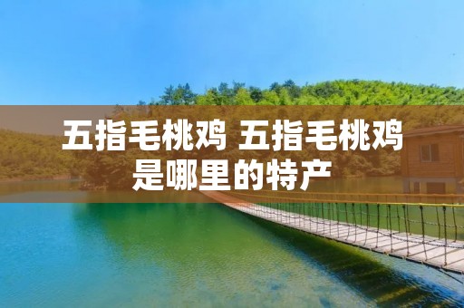 五指毛桃鸡 五指毛桃鸡是哪里的特产 五指毛桃鸡 五指毛桃鸡是哪里的特产