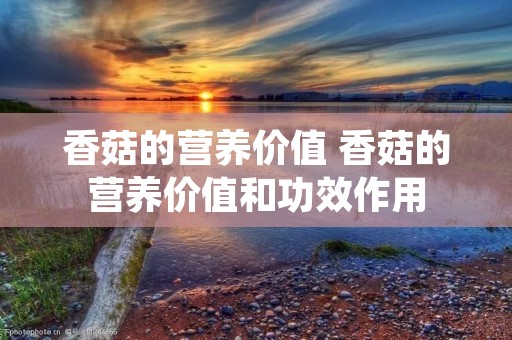 香菇的营养价值 香菇的营养价值和功效作用