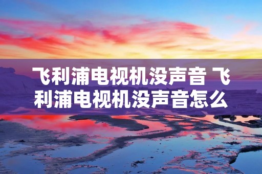飞利浦电视机没声音 飞利浦电视机没声音怎么解决