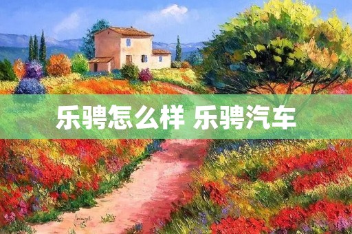 乐骋怎么样 乐骋汽车 乐骋怎么样 乐骋汽车