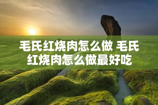 毛氏红烧肉怎么做 毛氏红烧肉怎么做最好吃