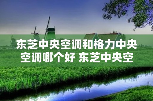 东芝中央空调和格力中央空调哪个好 东芝中央空调好还是格力中央空调好 东芝中央空调和格力中央空调哪个好 东芝中央空调好还是格力中央空调好