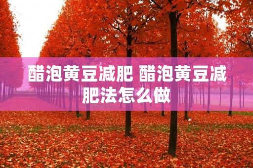醋泡黄豆减肥 醋泡黄豆减肥法怎么做